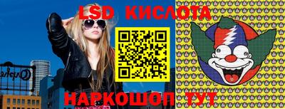 прущие грибы Абакан