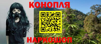 прущие грибы Абакан