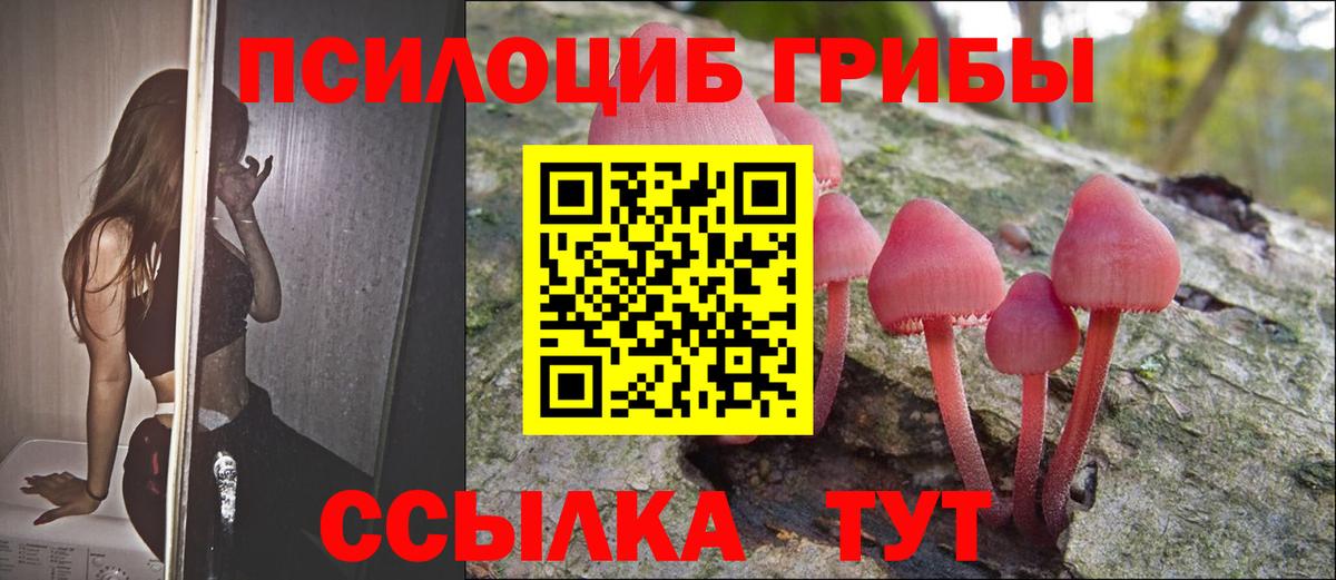 Алушта  Псилоцибиновые грибы Psilocybine cubensis  Вход с VPN 